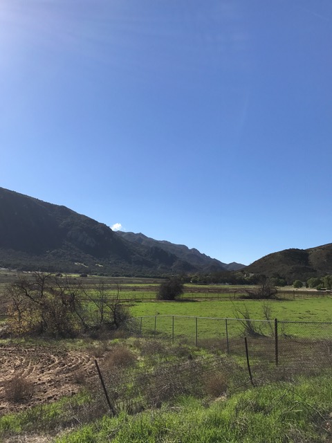 Take the Long Way&nbsp;Home