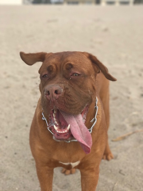 Winter Days in So&nbsp;Cal