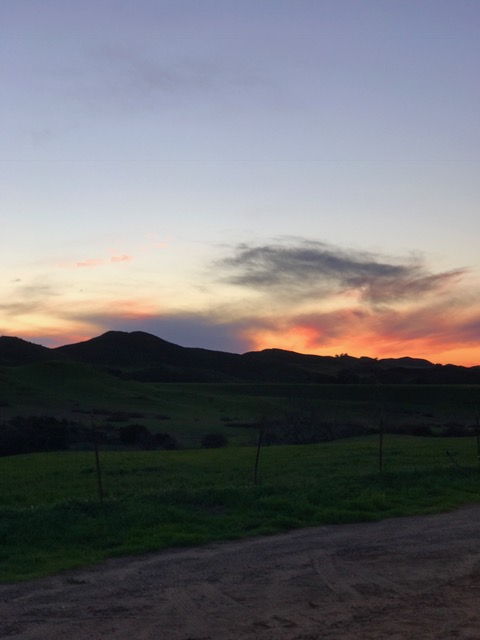 The End of an Ordinary&nbsp;Day