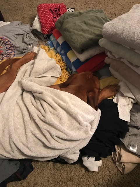 The Cause for&nbsp;Happy